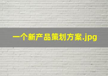 一个新产品策划方案