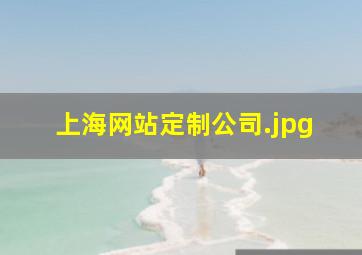 上海网站定制公司