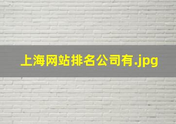 上海网站排名公司有