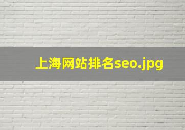 上海网站排名seo