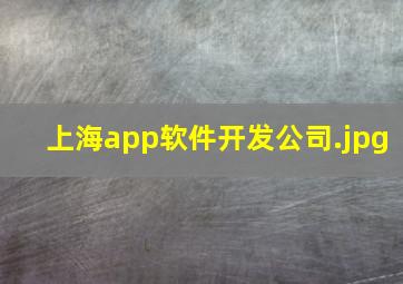 上海app软件开发公司