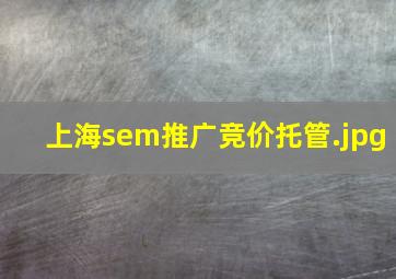 上海sem推广竞价托管