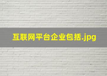 互联网平台企业包括