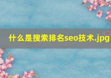 什么是搜索排名seo技术