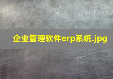 企业管理软件erp系统