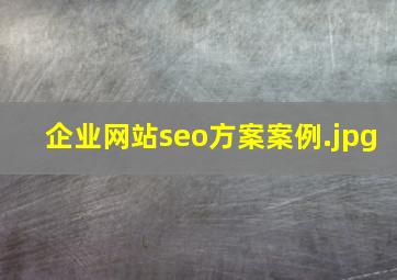 企业网站seo方案案例