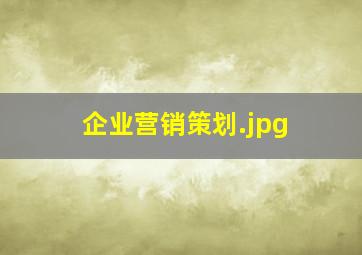 企业营销策划