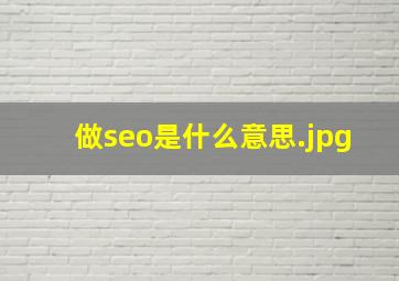 做seo是什么意思