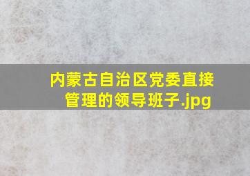 内蒙古自治区党委直接管理的领导班子