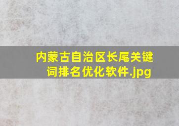 内蒙古自治区长尾关键词排名优化软件