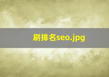 刷排名seo