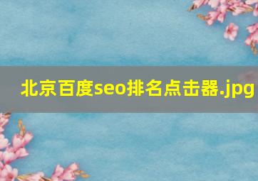 北京百度seo排名点击器