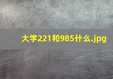 大学221和985什么