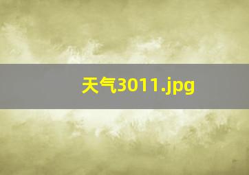 天气3011