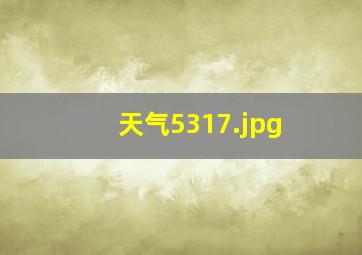 天气5317