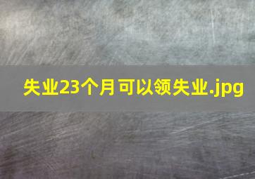 失业23个月可以领失业