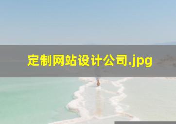 定制网站设计公司