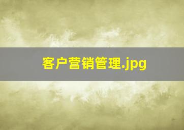 客户营销管理