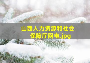 山西人力资源和社会保障厅网电