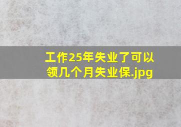 工作25年失业了可以领几个月失业保