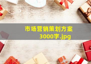 市场营销策划方案3000字