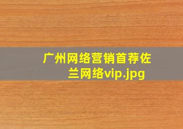 广州网络营销首荐佐兰网络vip