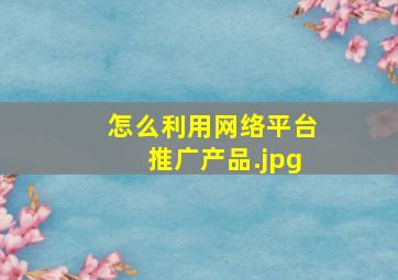 怎么利用网络平台推广产品