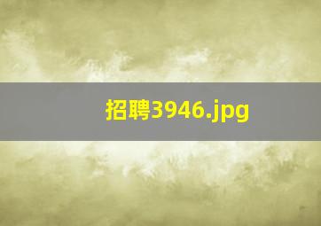 招聘3946