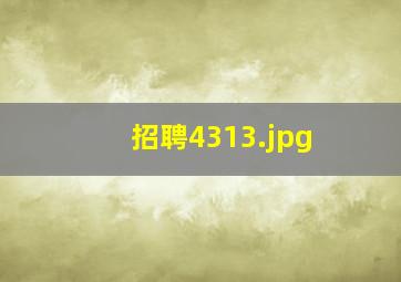 招聘4313