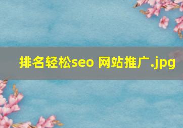 排名轻松seo 网站推广
