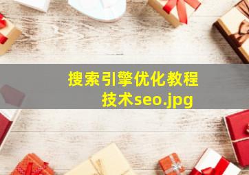 搜索引擎优化教程技术seo