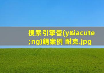 搜索引擎營(yíng)銷案例 耐克