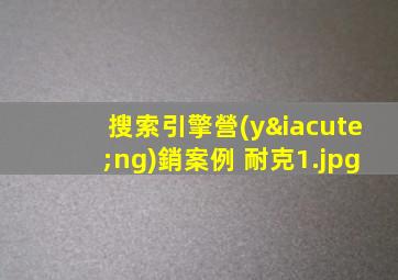 搜索引擎營(yíng)銷案例 耐克