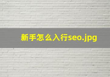 新手怎么入行seo