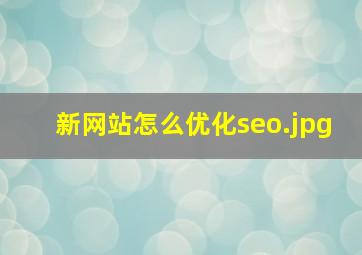 新网站怎么优化seo