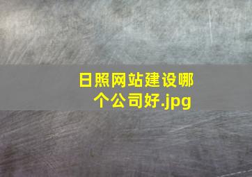 日照网站建设哪个公司好
