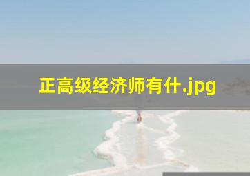 正高级经济师有什