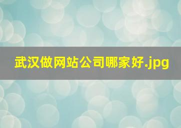 武汉做网站公司哪家好