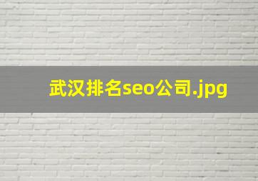 武汉排名seo公司