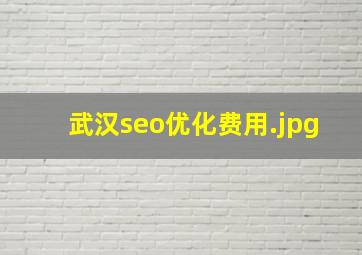 武汉seo优化费用