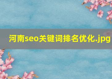 河南seo关键词排名优化