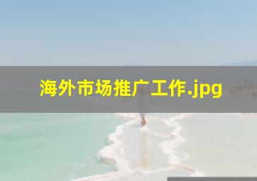 海外市场推广工作
