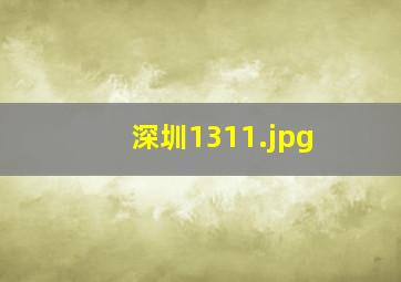 深圳1311