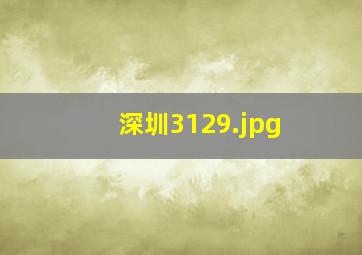 深圳3129