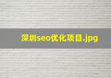 深圳seo优化项目