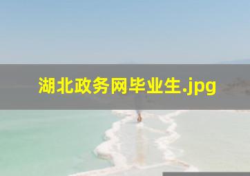 湖北政务网毕业生