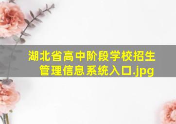 湖北省高中阶段学校招生管理信息系统入口