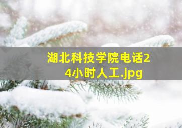 湖北科技学院电话24小时人工