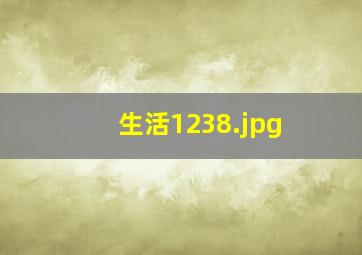 生活1238