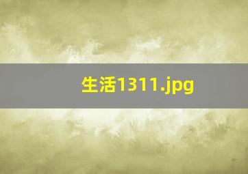 生活1311
